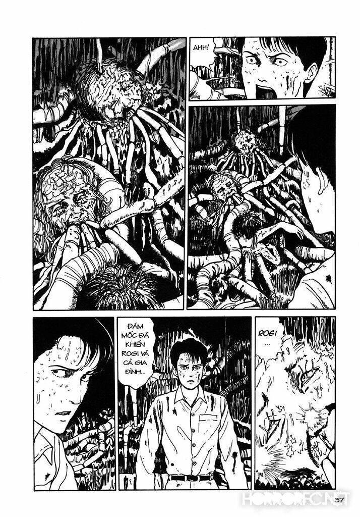 tuyển tập truyện ngắn kinh dị của ito junji chapter 7.3 39