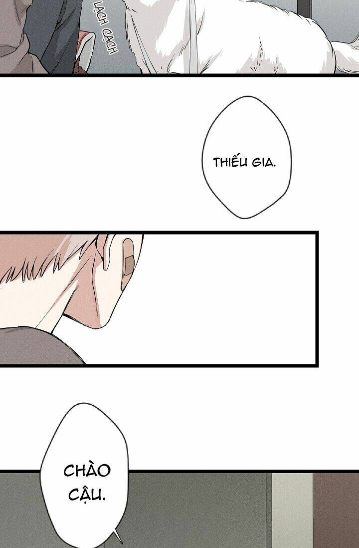 trốn tìm chapter 1 23