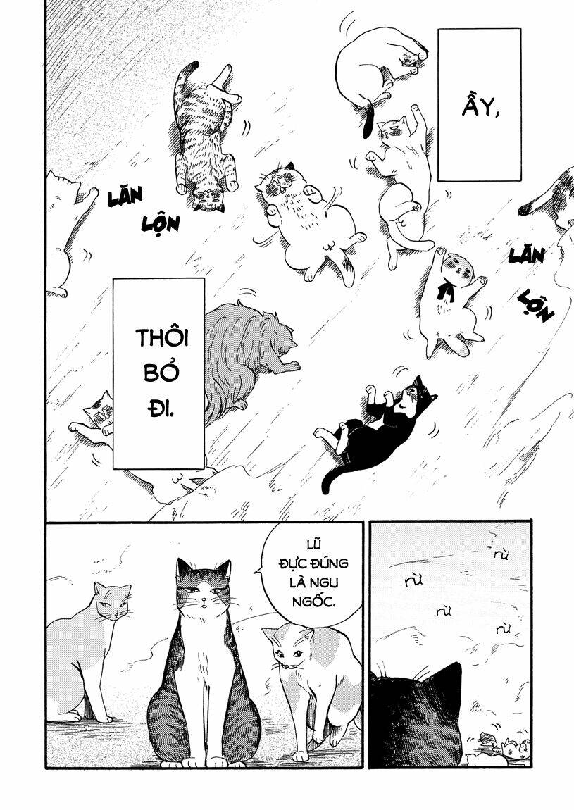 tui là busamen! chapter 8 12