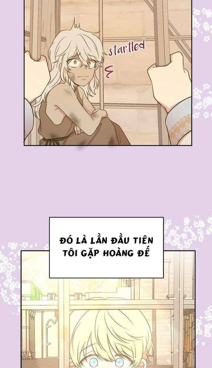 tôi chọn kết thúc của hoàng đế chapter 97 41