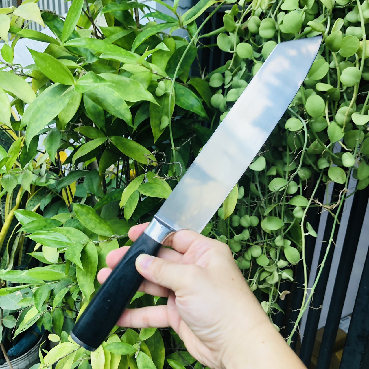 Siêu phẩm dao thái Nhật mũi vát, thép trắng