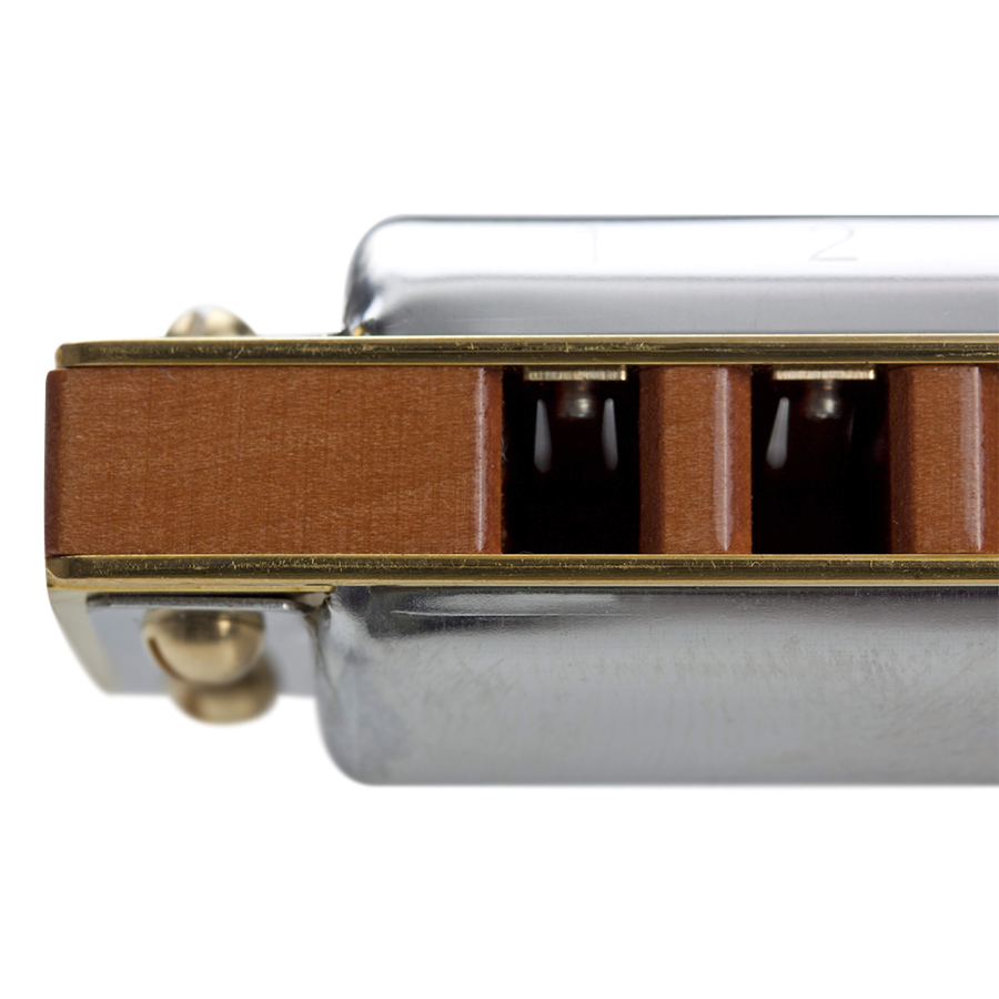 Kèn Harmonica Diatonic Hohner M2005