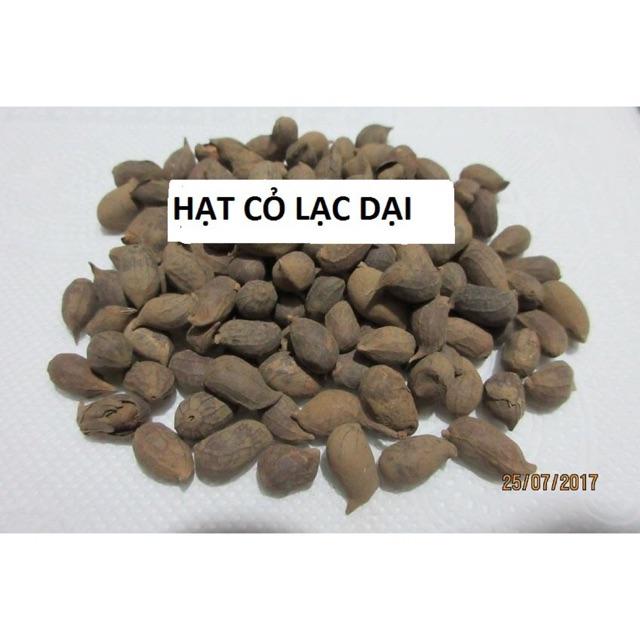 Hạt giống cỏ lạc dại 100 hạt