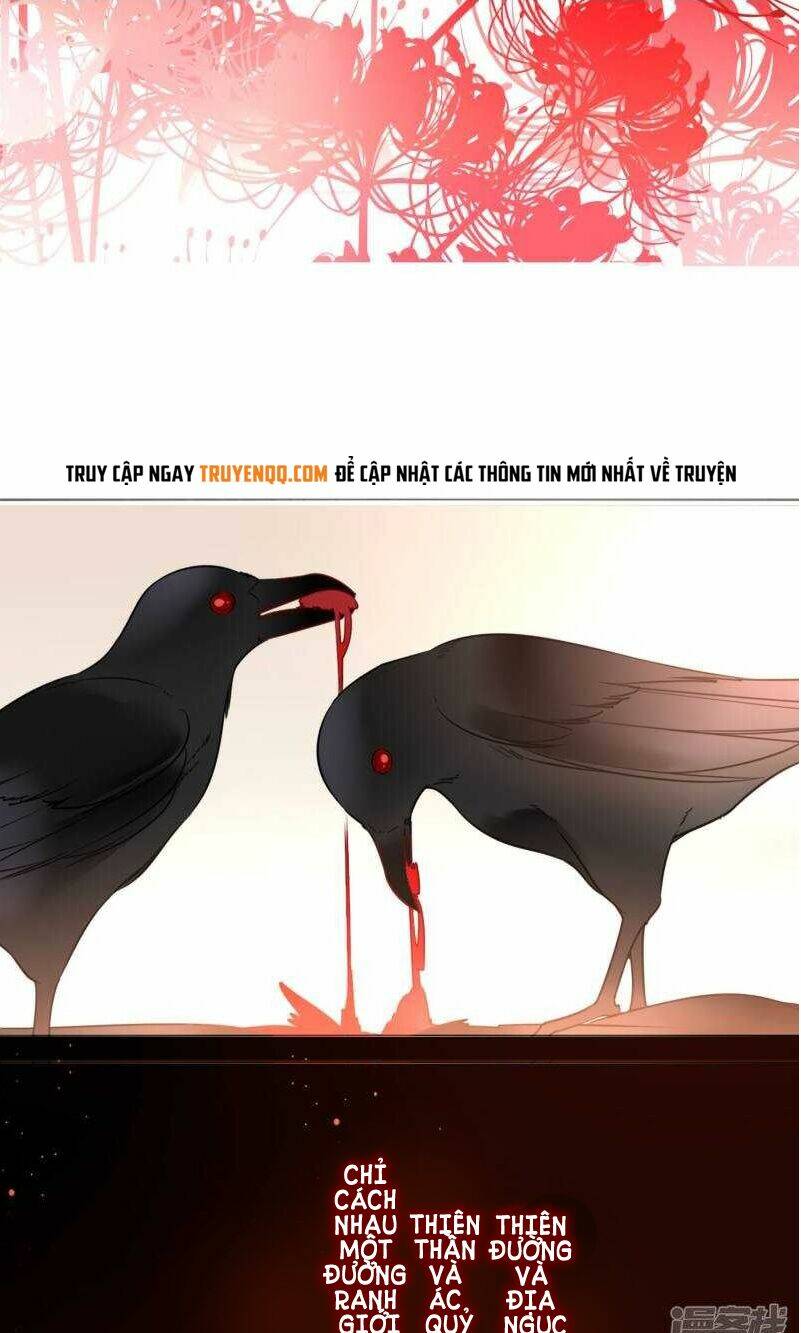bỉ ngạn hoa chapter 0 2