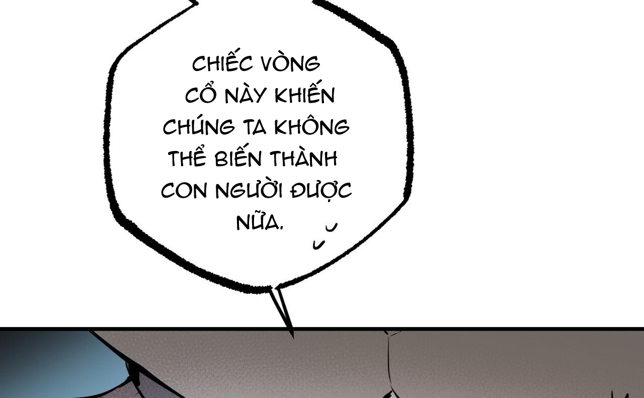 đàn thỏ của habibi chapter 46 147
