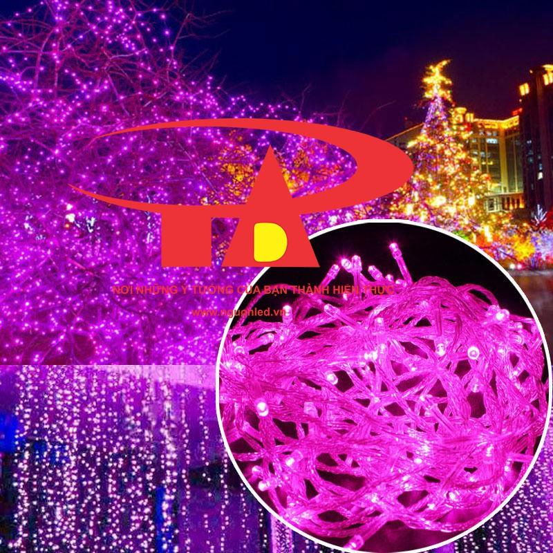 Đèn Led Chớp Trang Trí Noel Màu Vàng Nắng/ Màu Tím 7M