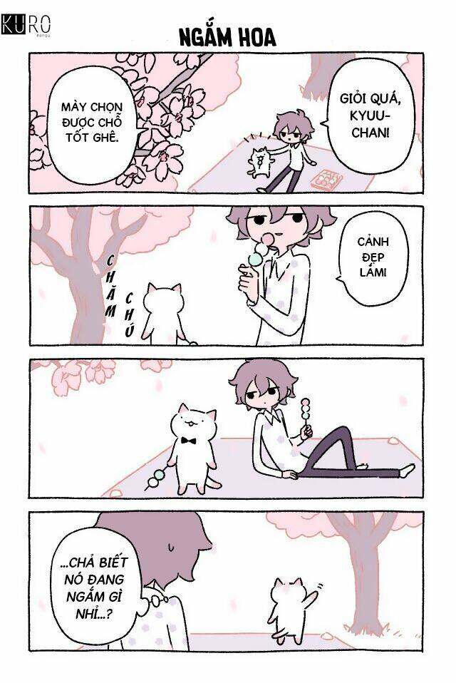 chú mèo kỳ diệu kyuu-chan chapter 33 2