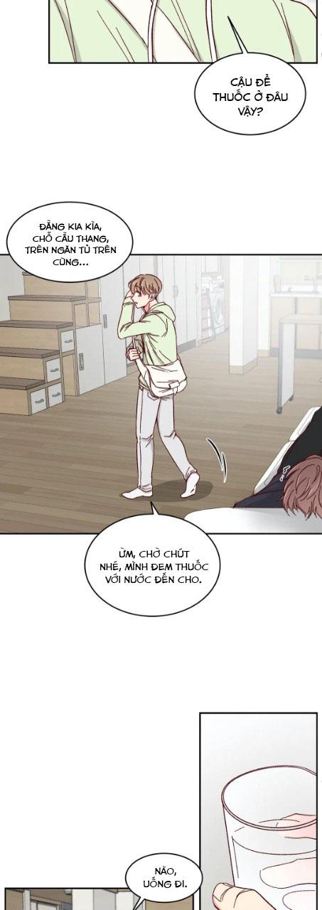 món tráng miệng của sếp tổng chapter 55 5