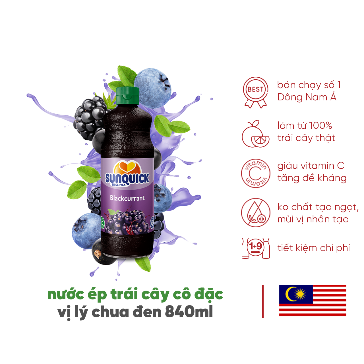 Nước ép trái cây lý chua đen Sunquick BlackCurrant Drink Concentrate 840ml