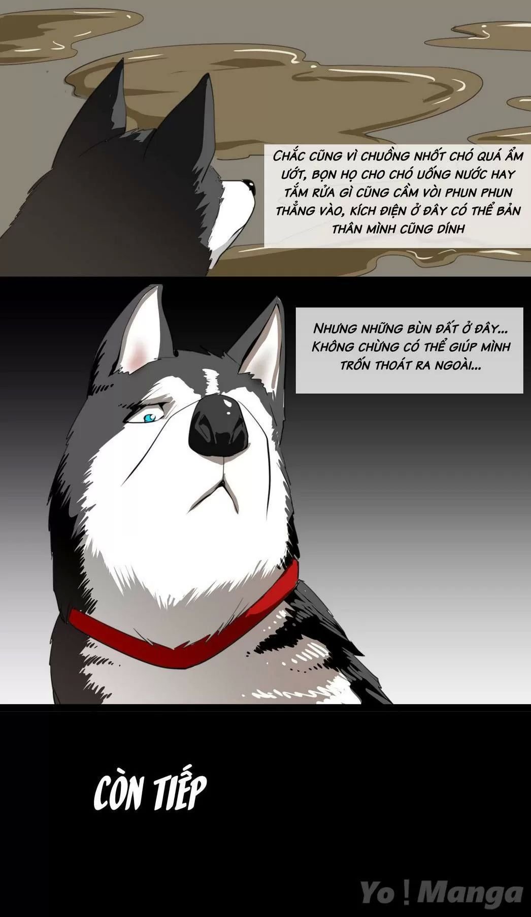 một con chó chapter 59 9