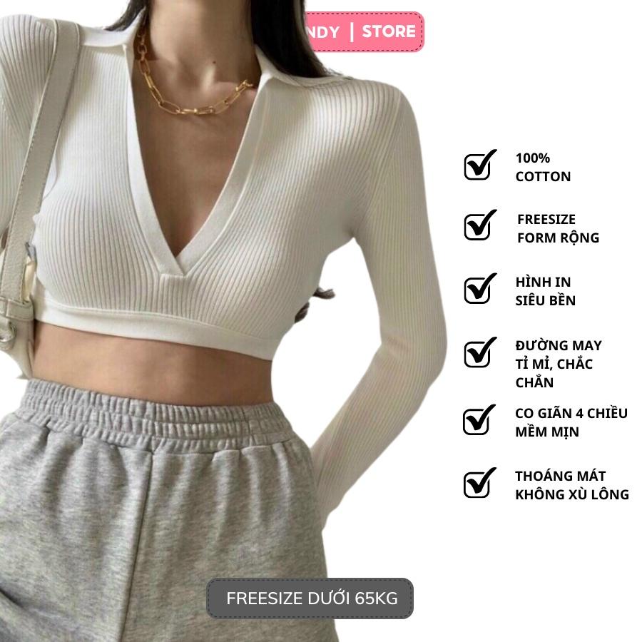 Áo Croptop Nữ Cổ V tay dài ôm dáng gợi cảm phong cách hàn quốc trẻ trung năng động - Babi Trendy CT27