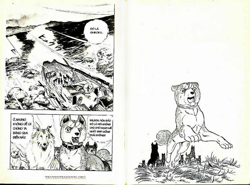 chú chó có nghĩa - ginga nagareboshi gin chapter 21 30