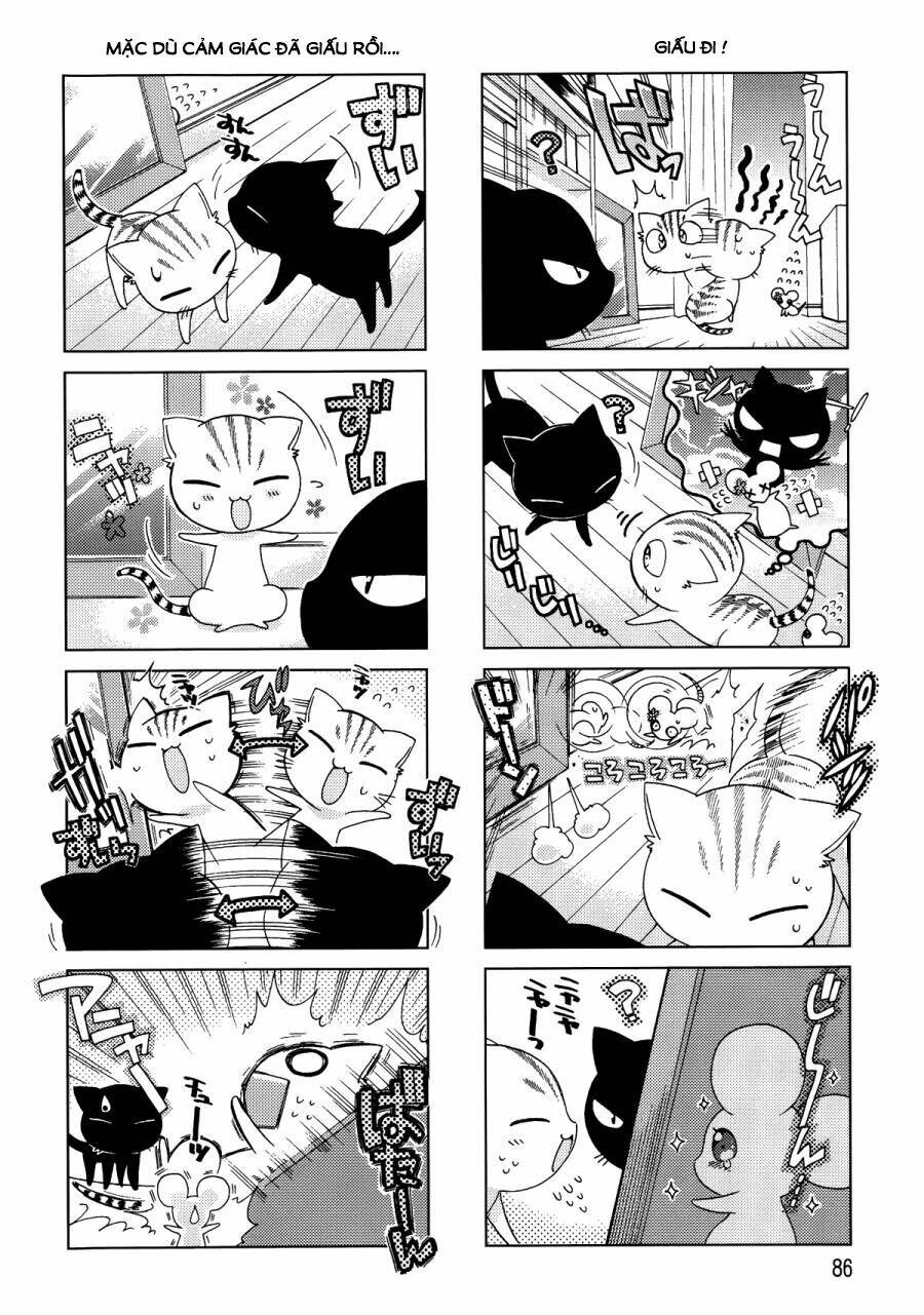 ashiya-san no neko chapter 11 7