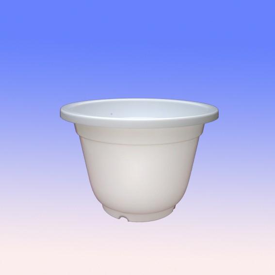 Combo 15 chậu tròn hoa trắng T30
