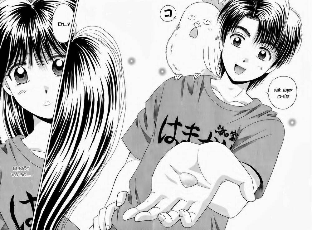 open sesame chapter 50 40