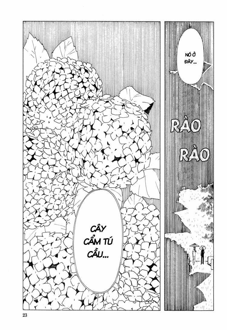 xxxholic - hành trình bí ẩn chapter 29 23