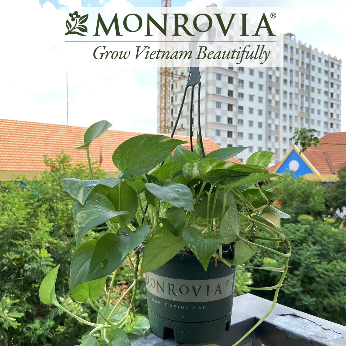 Chậu treo trồng cây MONROVIA Size L, Dòng T-series, chậu nhựa treo trang trí, trồng cây cảnh ban công, chậu trồng hoa, thiết kế tinh tế, thoát nước tốt, nhựa cao cấp PP, nhập khẩu, tiêu chuẩn Châu Âu