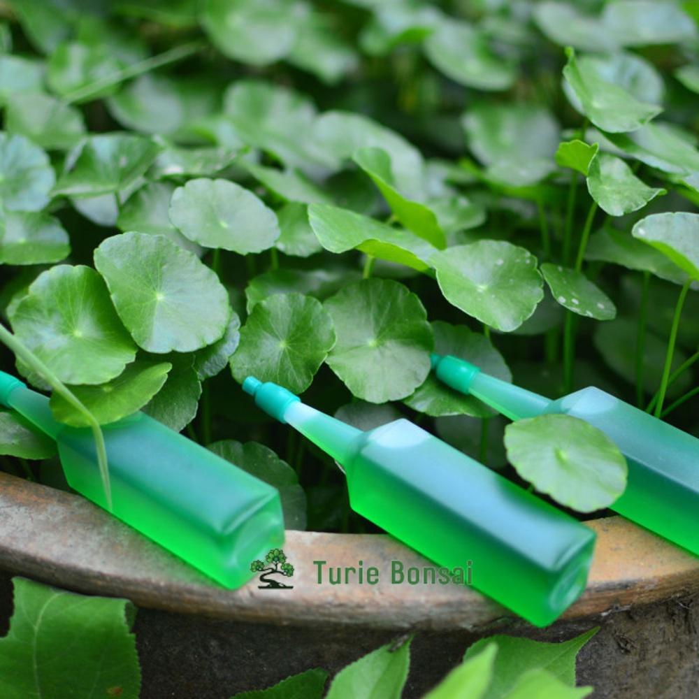 Dung Dịch Thủy Canh Chuyên Dụng Cho tất cả các loại cây thủy sinh