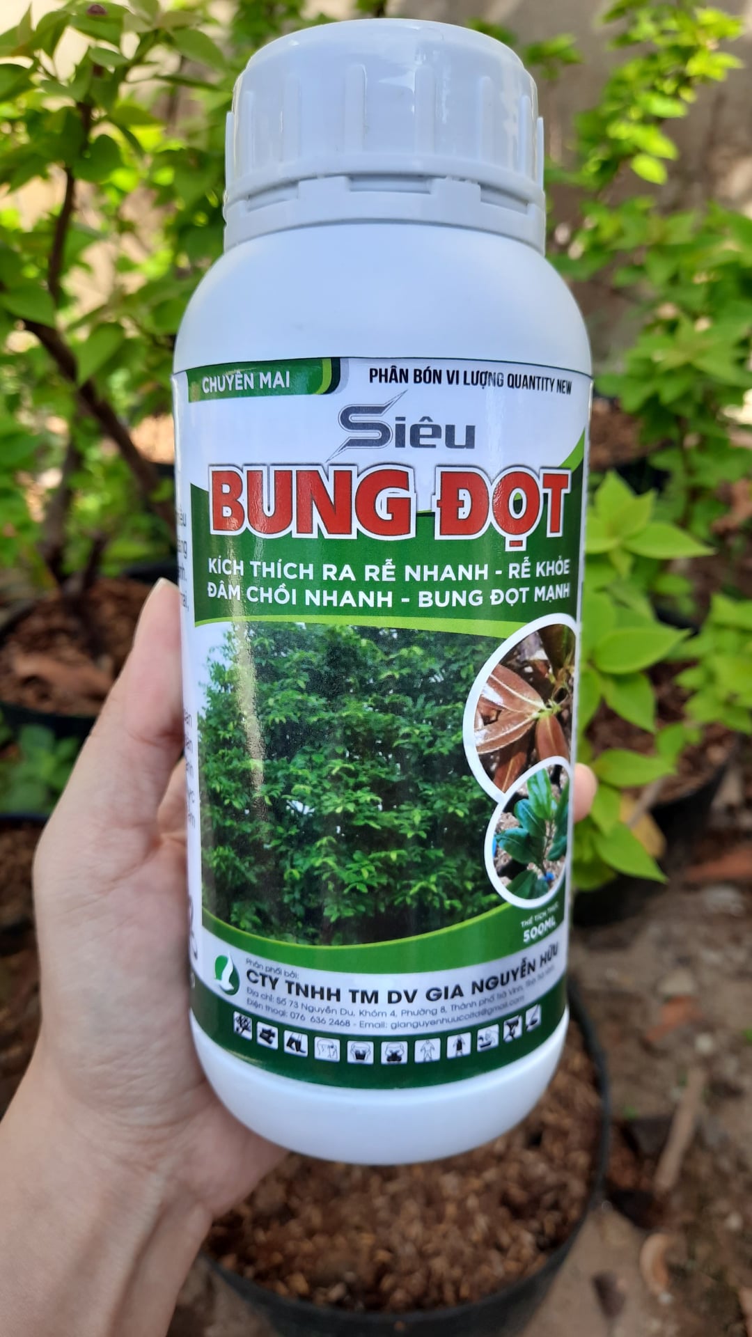 PHÂN BÓN LÁ SIÊU BUNG ĐỌT CHO MAI, CÂY KIỂNG  - SIÊU TIẾT KIỆM, SIÊU HIỆU QUẢ