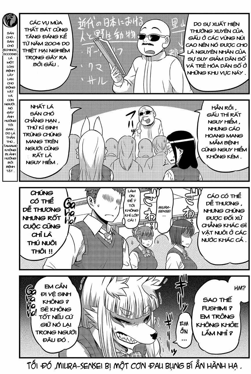 high school inari tamamo-chan ! chapter 1 11