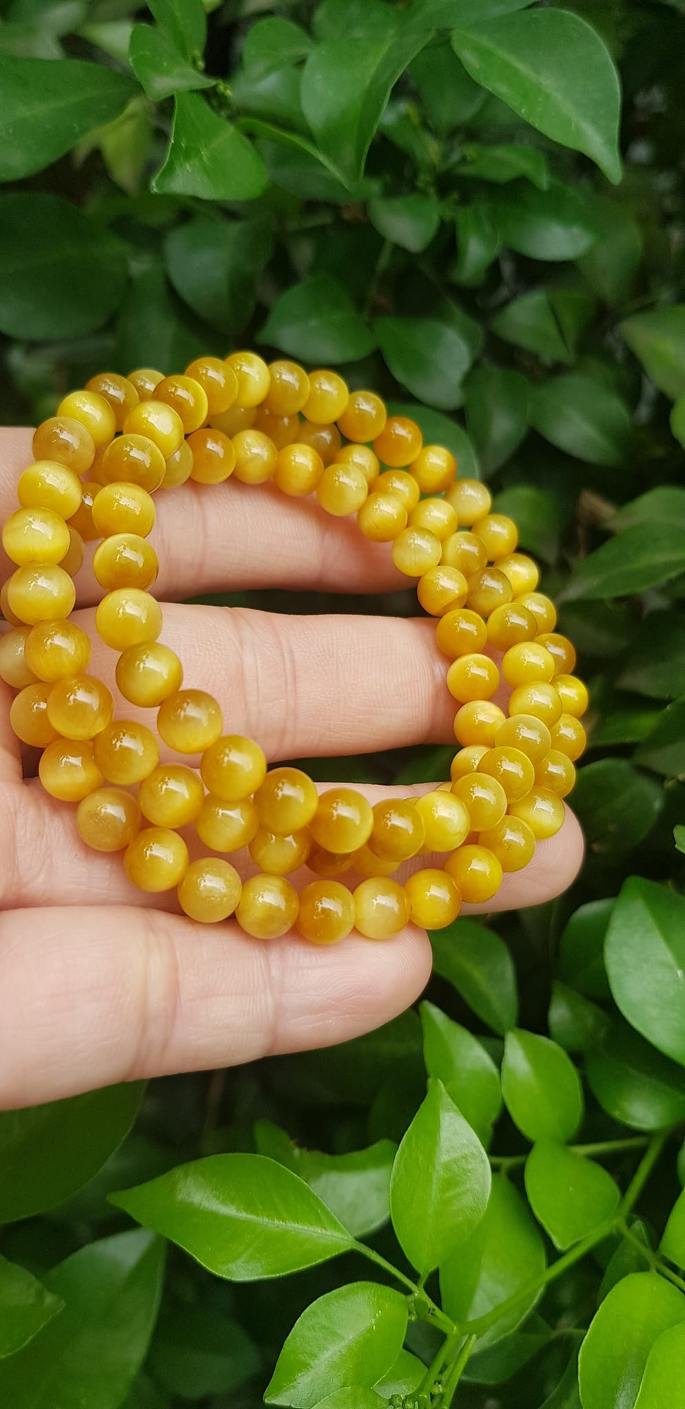 Vòng tay nữ đá mắt hổ tự nhiên vàng anh vip 6mm quấn tay 3 vòng đẹp vòng màu vàng anh tươi đẹp hợp nữ mệnh kim mệnh thổ mệnh thuỷ đeo tay may mắn xinh đẹp sang tay ạ