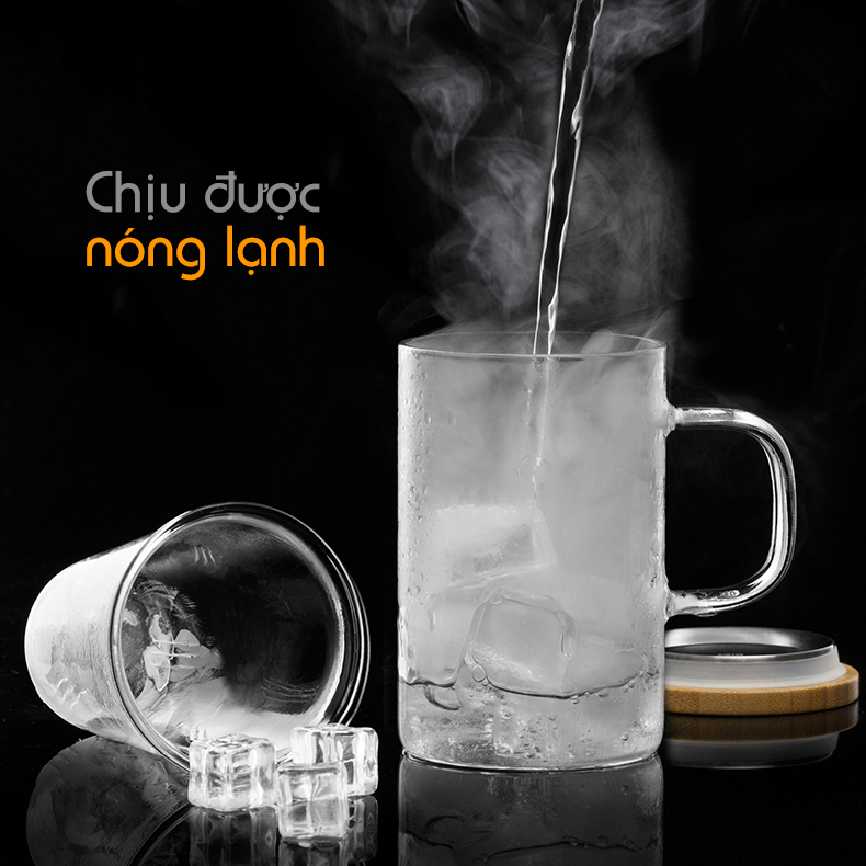 Ly lọc trà thủy tinh chịu nhiệt lõi thủy tinh LC006 500ml