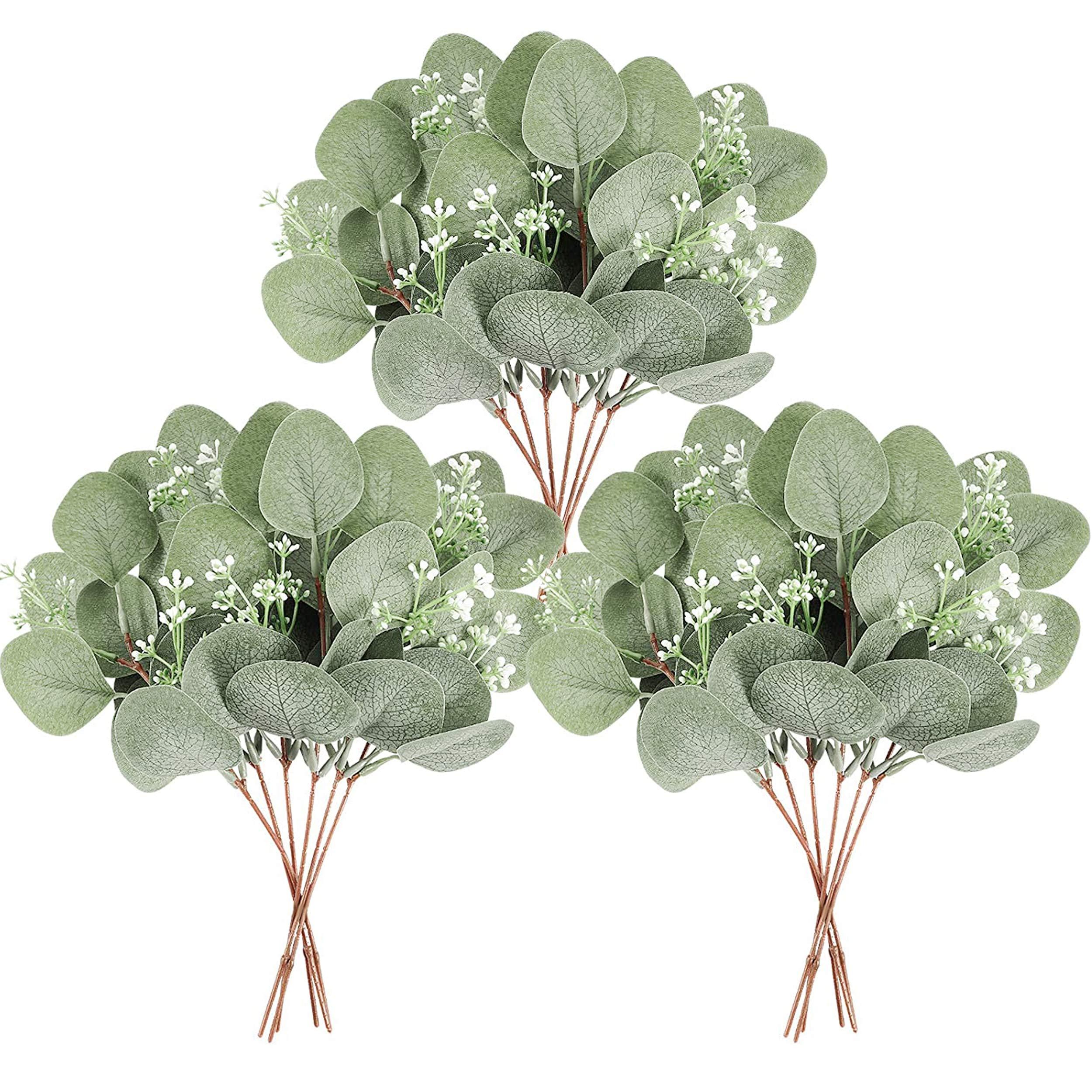 Cành cây bạch đàn nhân tạo 12 mảnh mô phỏng thực vật nhân tạo Eucalyptus để lại cây bạch đàn bạc cho bữa tiệc, đám cưới, vườn, cửa sổ, tại nhà, văn phòng, trang trí