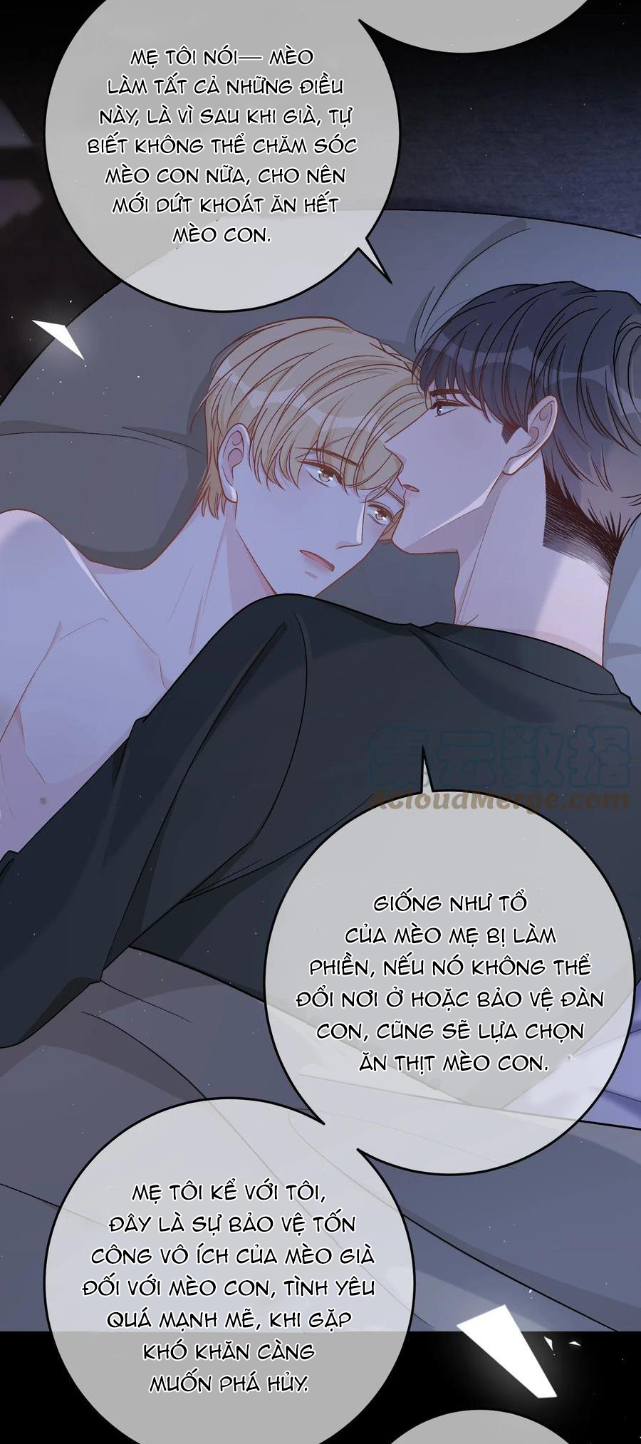 trước và sau ly hôn! chapter 51 4