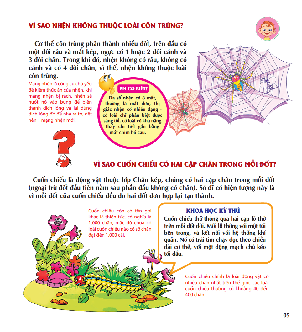 Vì Sao Chim Lại Làm Tổ?