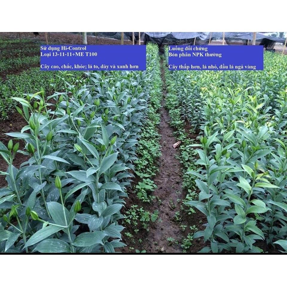 PHÂN TAN CHẬM CHÌ NHẬT BẢN NPK 13-11-11-ME NHẬP KHẨU GIÁ SỈ 180 NGÀY BÓN 1 LẦN