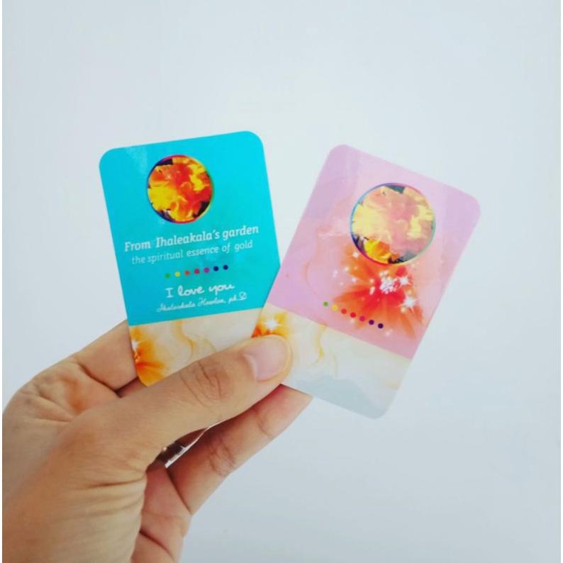 Combo 2 thẻ ATM hoa râm bụt kép thanh tẩy tài chính