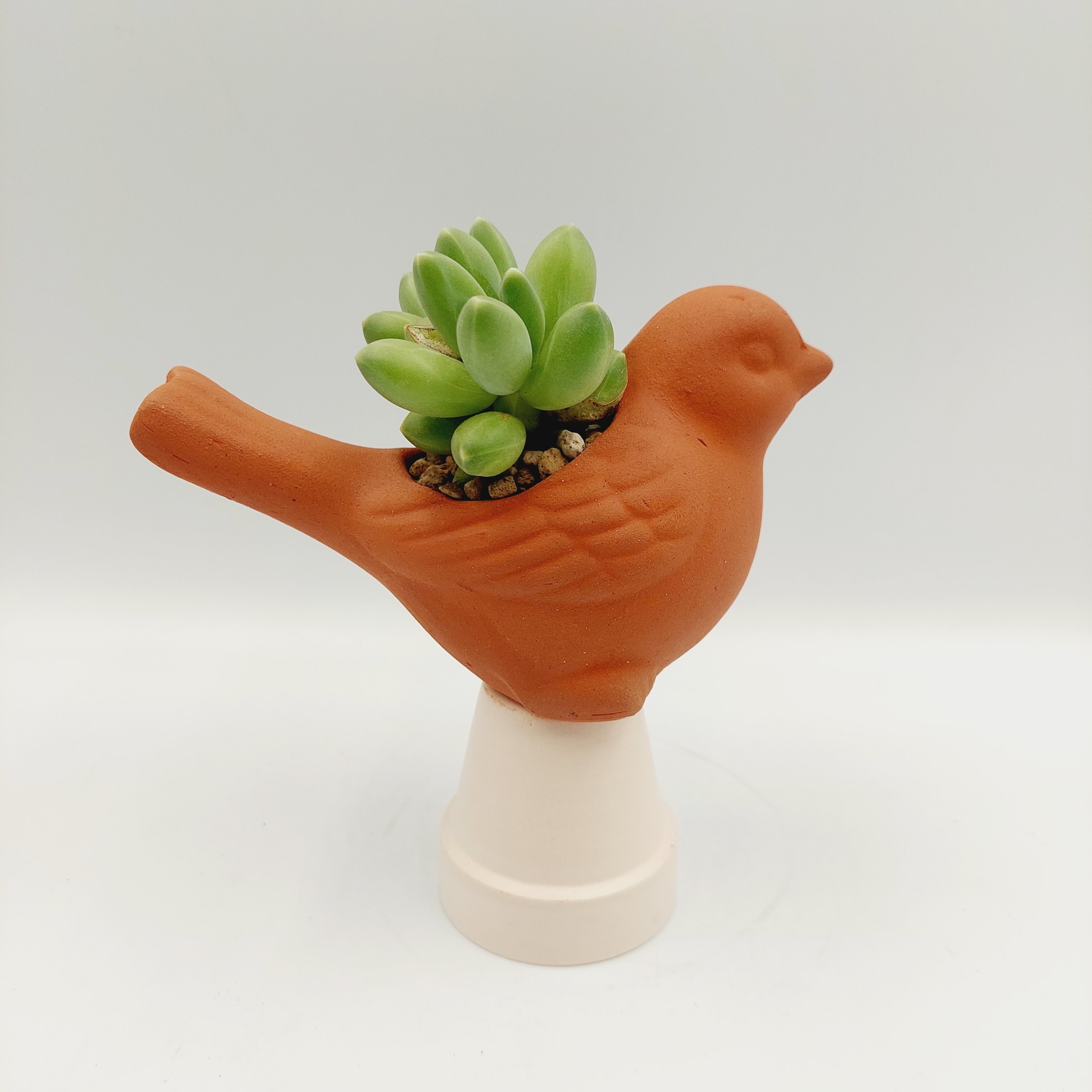 Chậu đất nung, chậu sen đá - Con chim non 58, miệng chậu 5cm, chiều cao 8cm