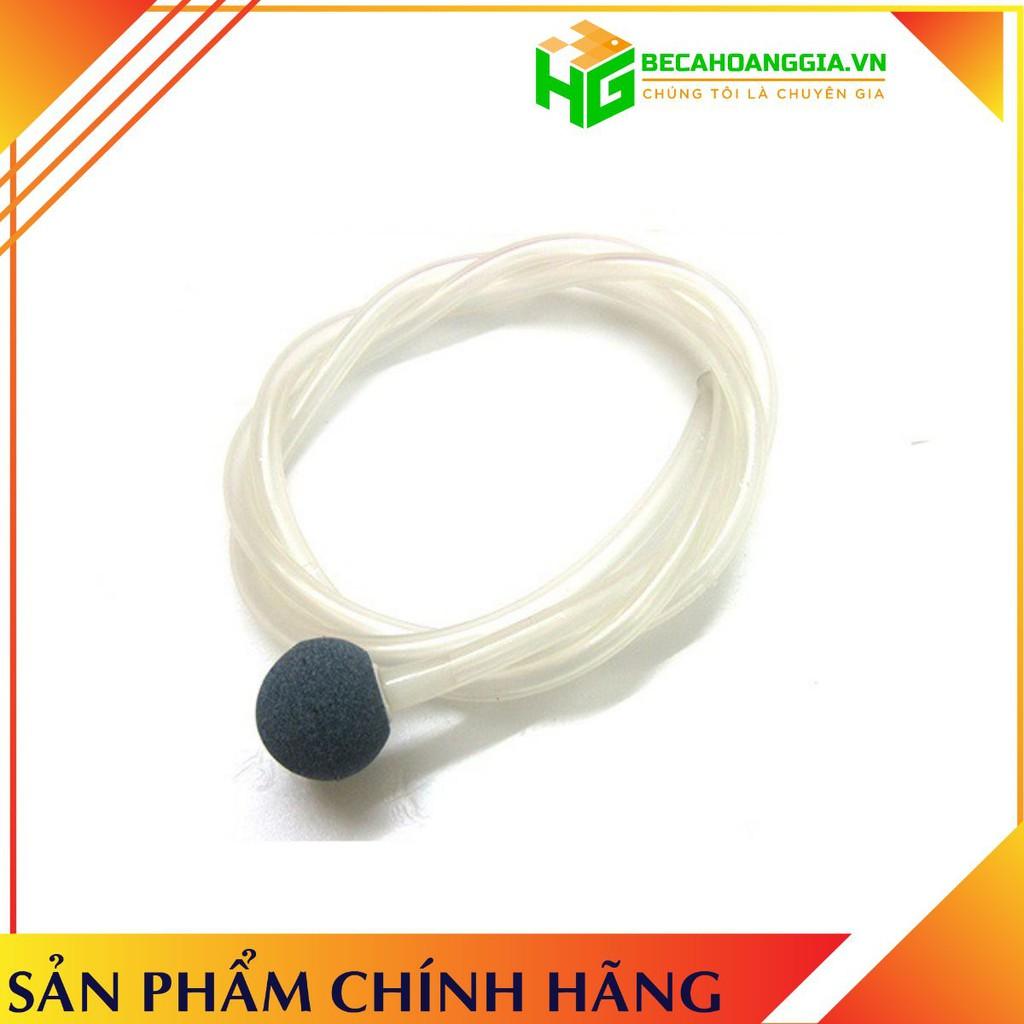 Bộ dây quả sủi thay thế