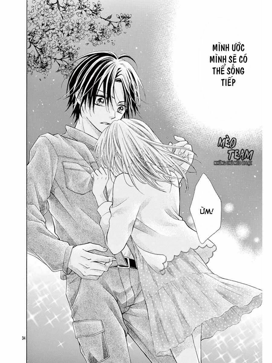 tớ muốn xem pháo hoa cậu làm chapter 1 39