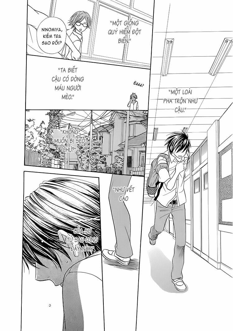 nekoka danshi no shitsukekata chapter 6 10