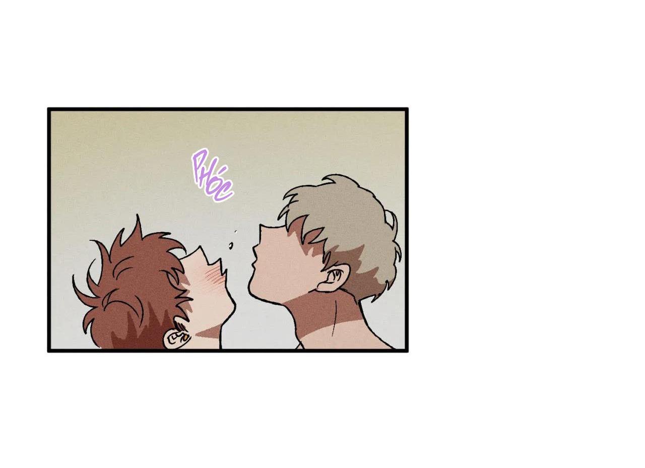 bẫy đôi ngọt ngào chapter 21 13