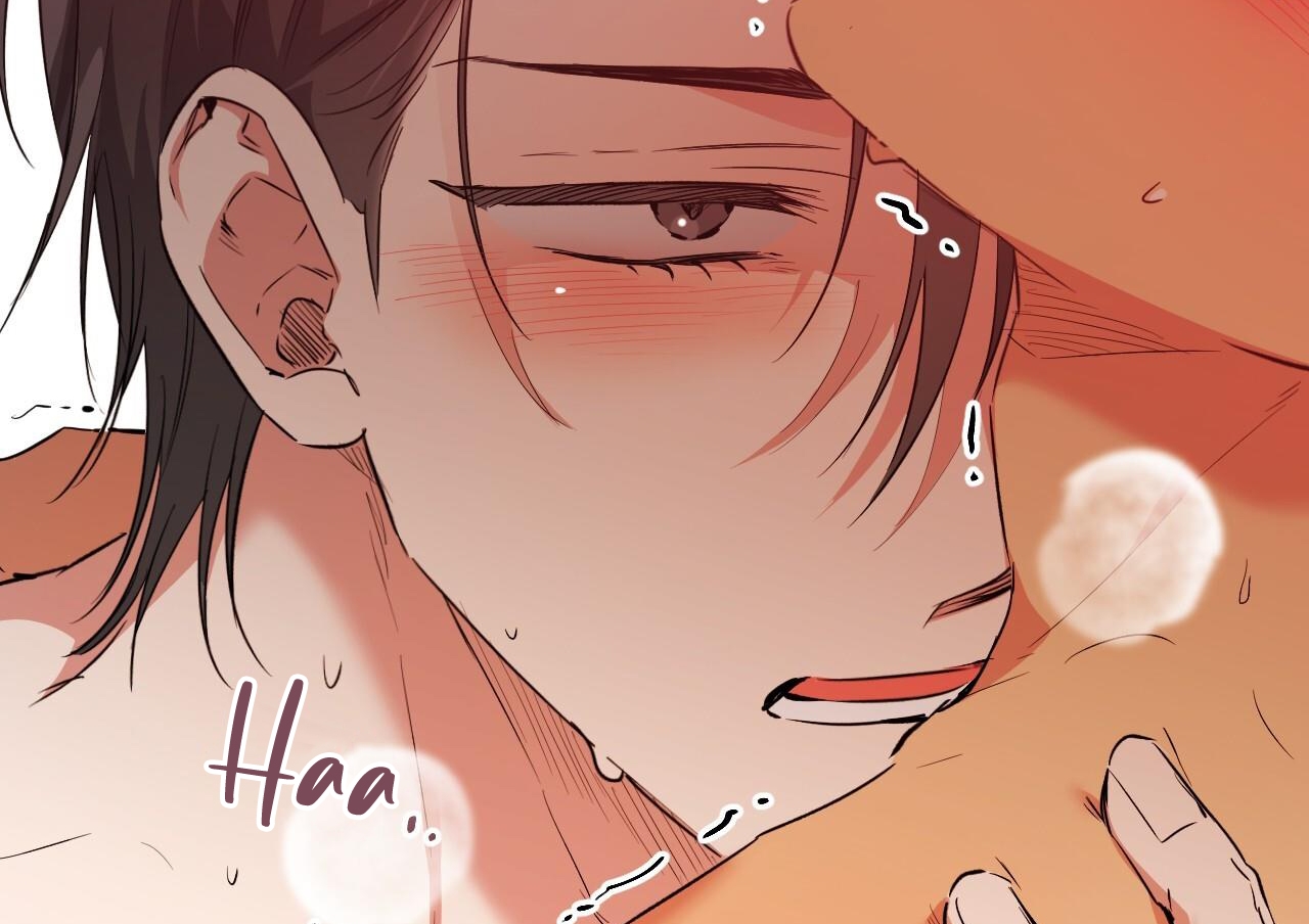 những chú thỏ của hapypy chapter 63 178