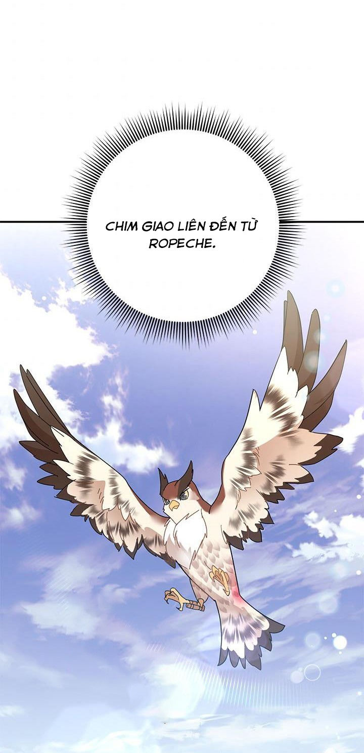 công chúa của loài chim chapter 44.1 80