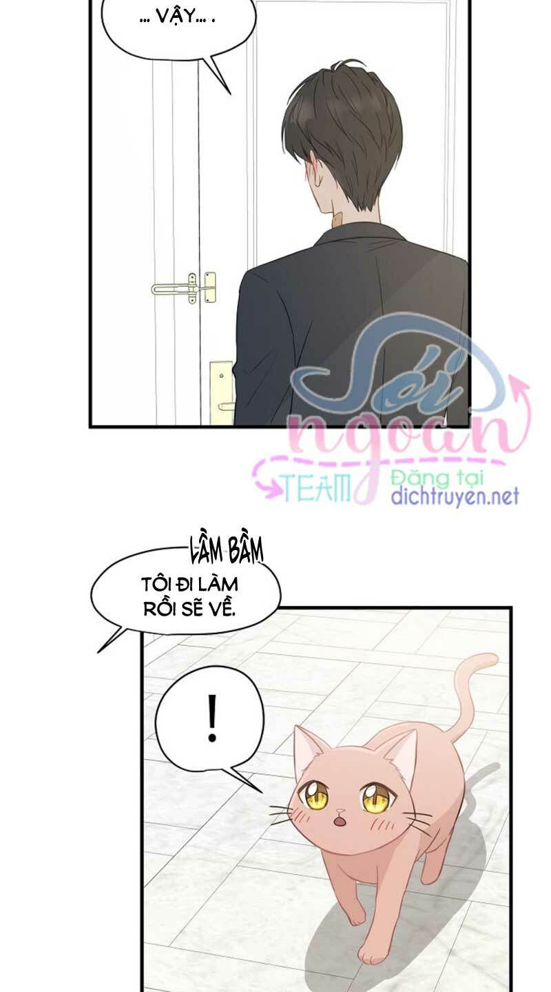 cuộc sống kỳ thú chapter 9 10