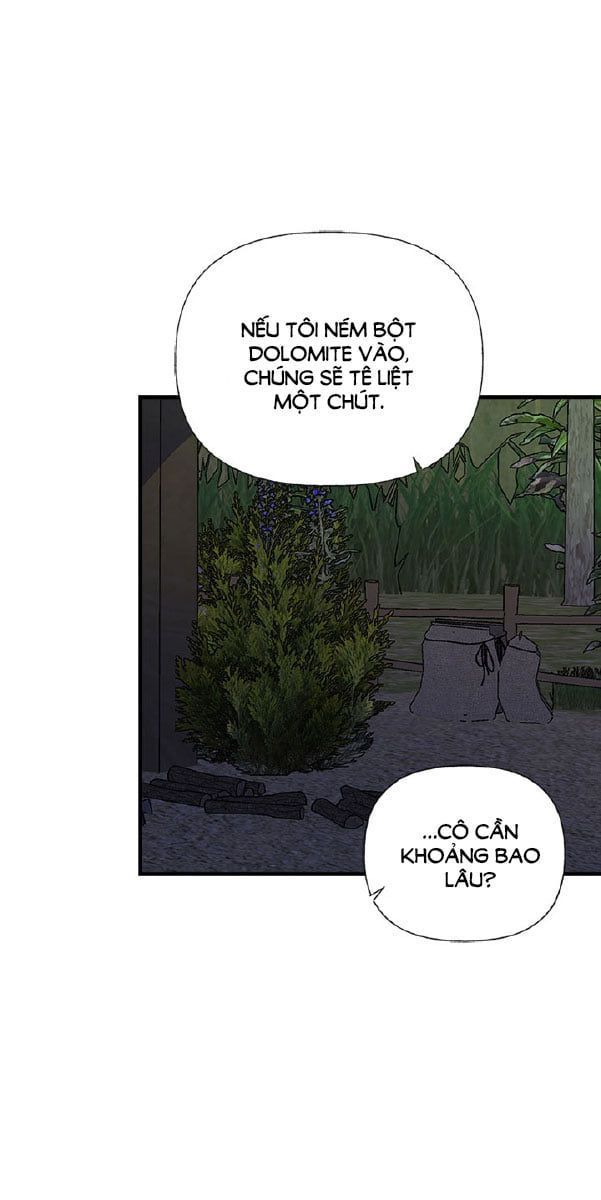 chị tôi đã nhặt về một nam chính quyến rũ chapter 15 38