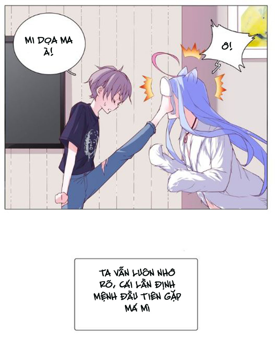 đừng nghịch, ta chỉ muốn yên tĩnh chapter 4 9