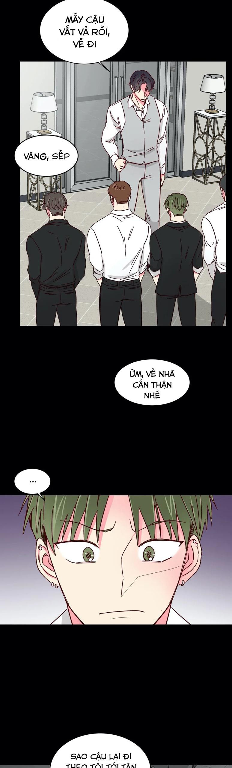 món tráng miệng của sếp tổng chapter 43 24