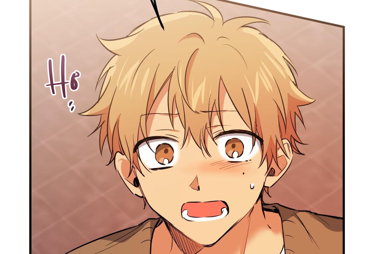 đàn thỏ của habibi chapter 62 172