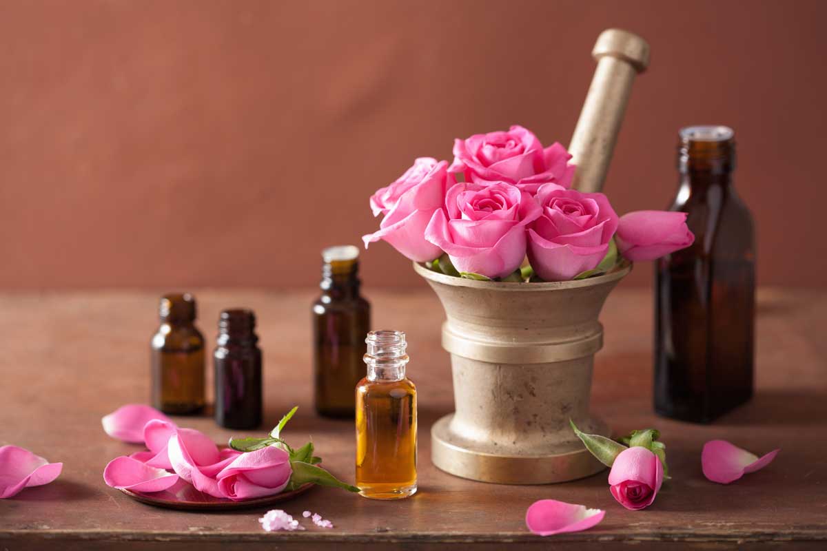 Tinh dầu hoa Hồng 50ml Mộc Mây - tinh dầu thiên nhiên nguyên chất 100% - chất lượng và mùi hương vượt trội