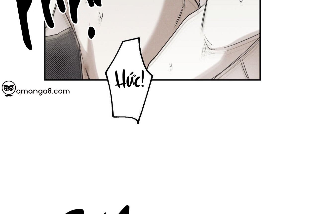 chàng giao pizza và gold palace chapter 47 21