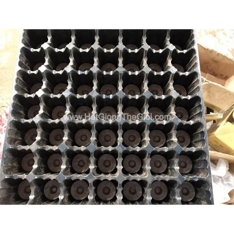 01 Khay Vỉ Ươm Khay Ươm RẤT DÀY, Vừa Viên Nén Nảy Mầm 49 Lỗ 36x36