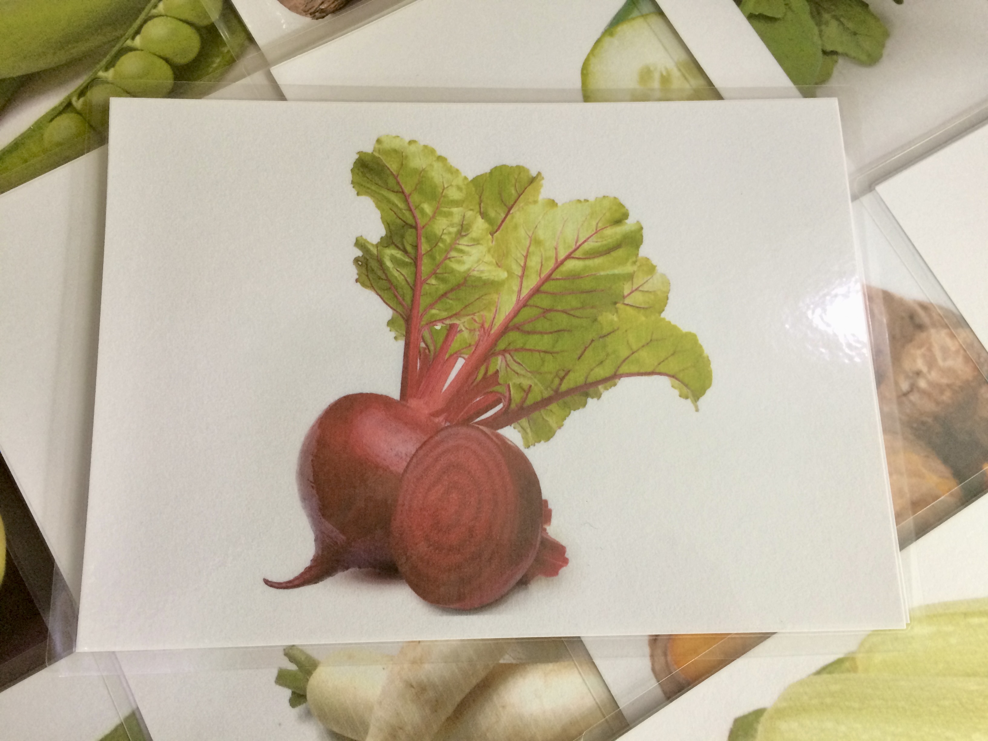 Vegetable Flashcards - Set 2 - Thẻ học tiếng Anh chủ đề rau củ - Bộ 2 - 20 cards: eggplant, beetroot, carrot, cassava, cucumber, ginger