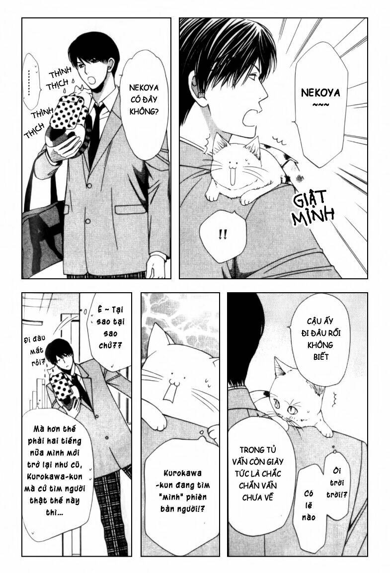 neko neko honey chapter 2 25