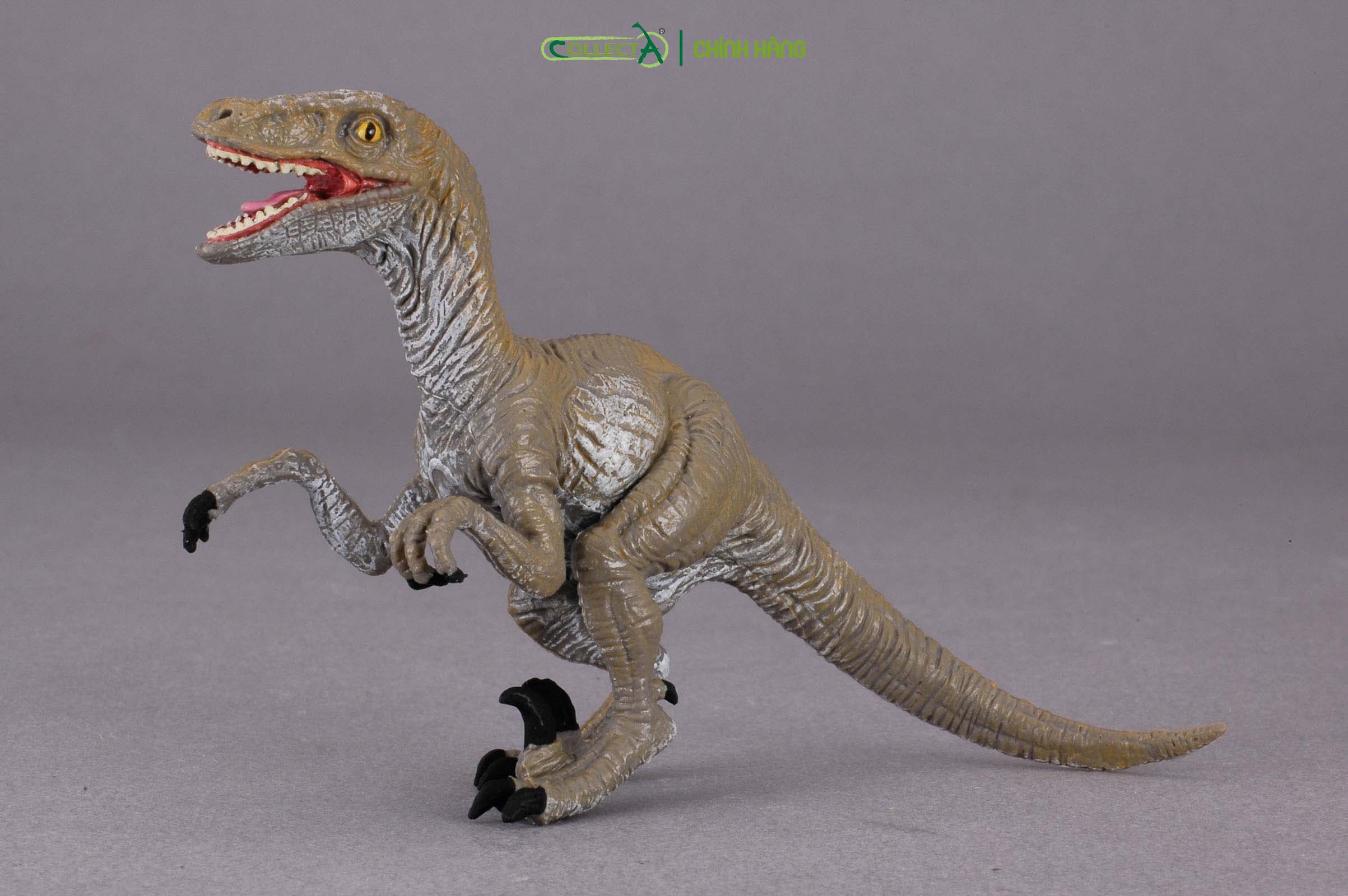 Mô hình thu nhỏ: Khủng Long Velociraptor  - Velociraptor, hiệu: CollectA, mã HS 9654180[88034] -  Chất liệu an toàn cho trẻ - Hàng chính hãng