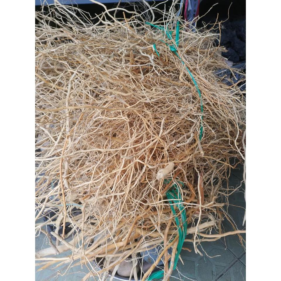 Lũa Rễ Rừng dẻo 100g - Lũa Setup Bể Thuỷ Sinh